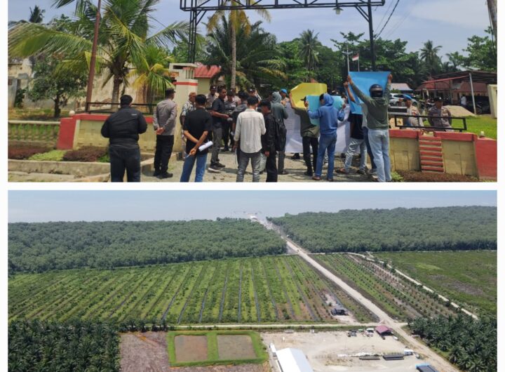 Kapolsek Diduga Rampas Hutan Lindung 5 Hektare, Pengembalian Lahan Tak Hapus Pidana