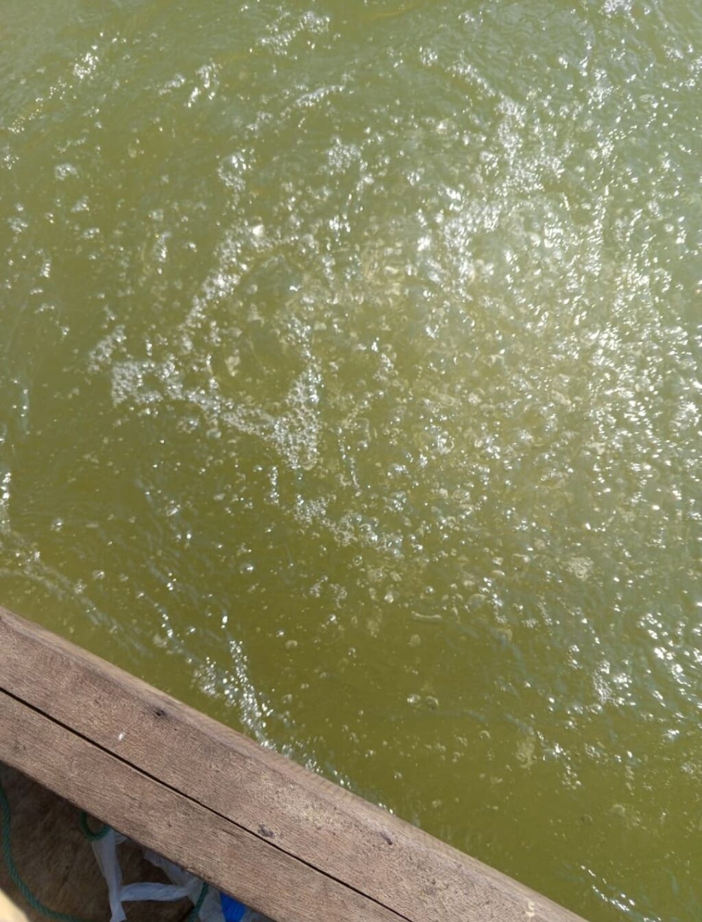 Diduga Bocor Berbulan-bulan, Pipa Gas Bawah Laut Pertamina EP di Pangkalan Susu Picu Kekhawatiran Nelayan