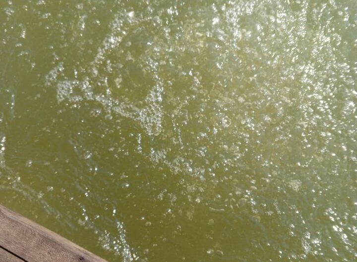 Diduga Bocor Berbulan-bulan, Pipa Gas Bawah Laut Pertamina EP di Pangkalan Susu Picu Kekhawatiran Nelayan