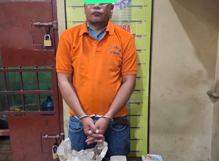 Digedor Dini Hari, Polisi Tangkap Pria 42 Tahun di Stabat dengan Puluhan Paket Ganja Siap Edar