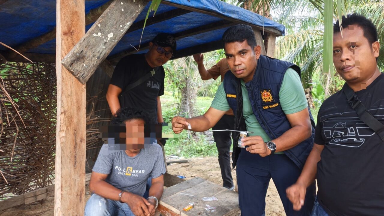 Polres Langkat Bongkar Sarang Narkoba di Tengah Kebun Sawit, Barak Dibakar, Satu Tersangka Diamankan