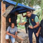 Polres Langkat Bongkar Sarang Narkoba di Tengah Kebun Sawit, Barak Dibakar, Satu Tersangka Diamankan