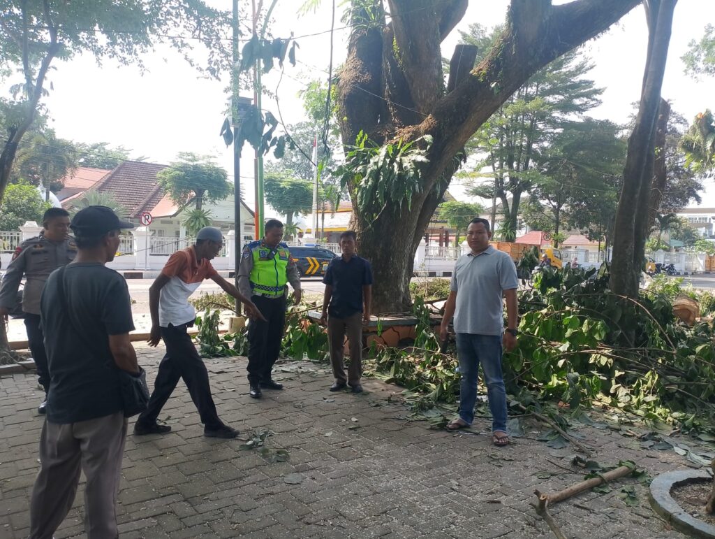 Petugas Tebang Pohon Terjun dari Ketinggian di Lapangan Merdeka Binjai, Tangan Patah-Kepala Mengalami Luka Serius