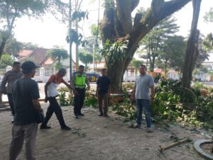 Petugas Tebang Pohon Terjun dari Ketinggian di Lapangan Merdeka Binjai, Tangan Patah-Kepala Mengalami Luka Serius