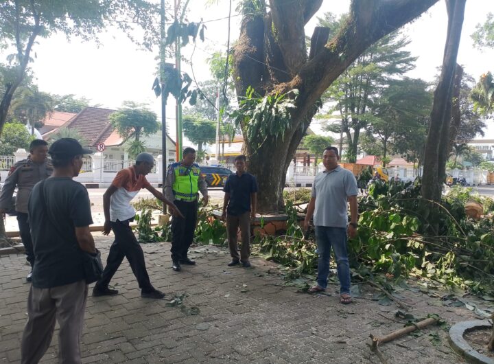 Petugas Tebang Pohon Terjun dari Ketinggian di Lapangan Merdeka Binjai, Tangan Patah-Kepala Mengalami Luka Serius