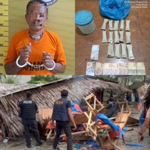 Gerebek 12 Lokasi, Sat Narkoba Polres Binjai dan BNNK Bongkar 10 Gubuk Narkoba, Pria 48 Tahun Diamankan!